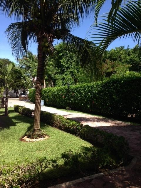 B&B Villa Hibiscus Playa del Carmen Zewnętrze zdjęcie